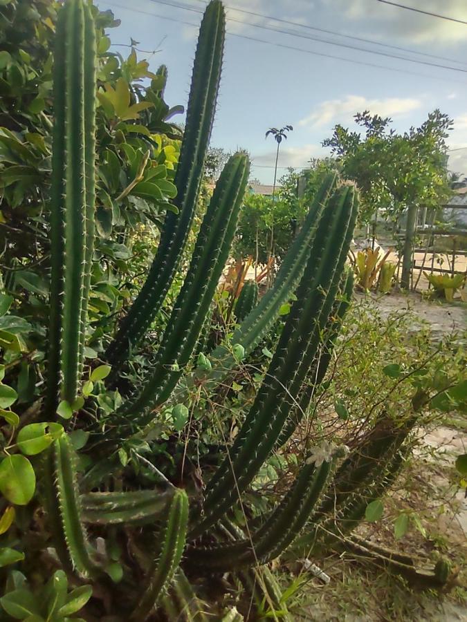 Pousada Quintal Dos Sonhos Xando Caraíva מראה חיצוני תמונה